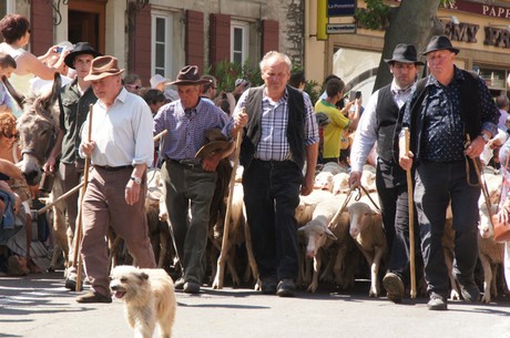 saint-remy-de-provence