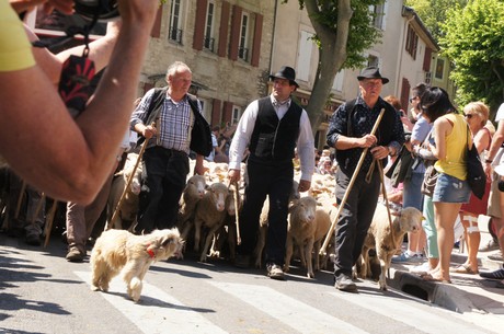 saint-remy-de-provence