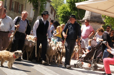 saint-remy-de-provence