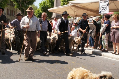 saint-remy-de-provence