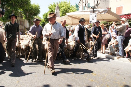 saint-remy-de-provence