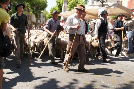 saint-remy-de-provence