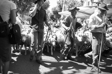 saint-remy-de-provence