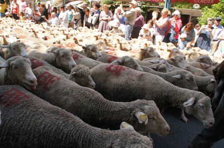 saint-remy-de-provence