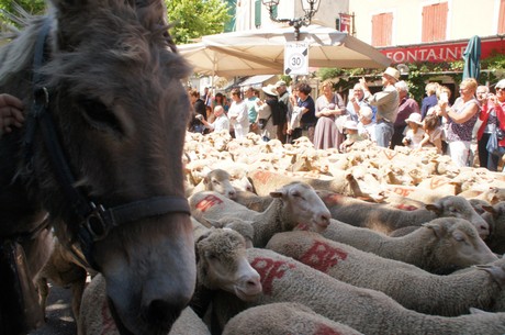 saint-remy-de-provence