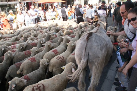 saint-remy-de-provence