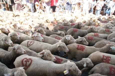 saint-remy-de-provence