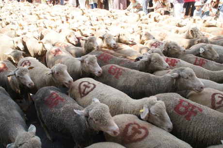 saint-remy-de-provence