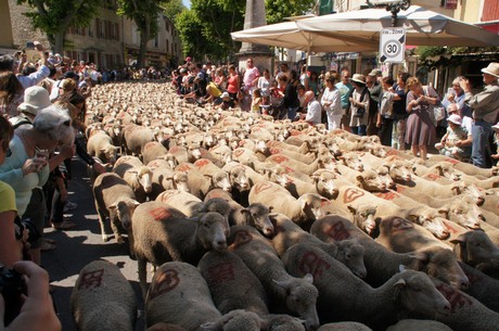 saint-remy-de-provence