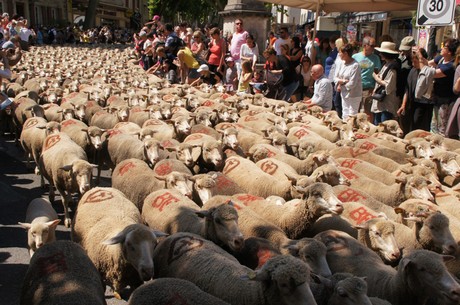 saint-remy-de-provence