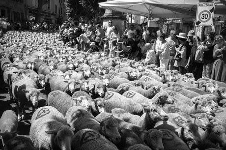 saint-remy-de-provence