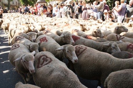 saint-remy-de-provence