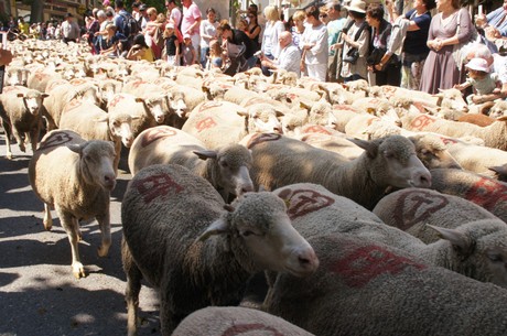 saint-remy-de-provence
