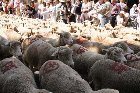 saint-remy-de-provence