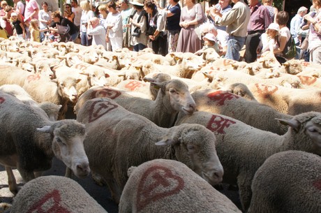 saint-remy-de-provence