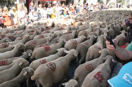saint-remy-de-provence