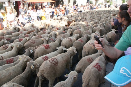saint-remy-de-provence