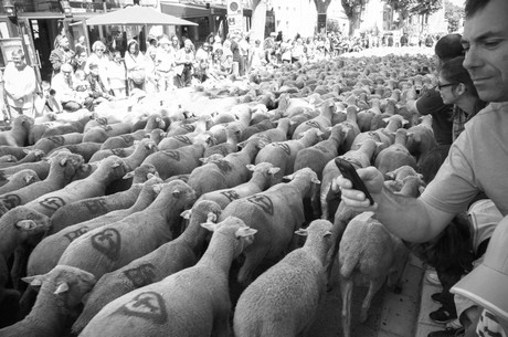 saint-remy-de-provence