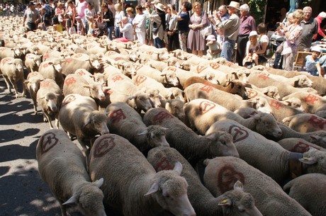 saint-remy-de-provence