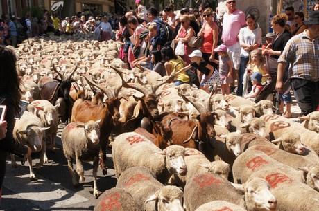 saint-remy-de-provence