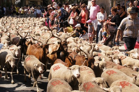 saint-remy-de-provence