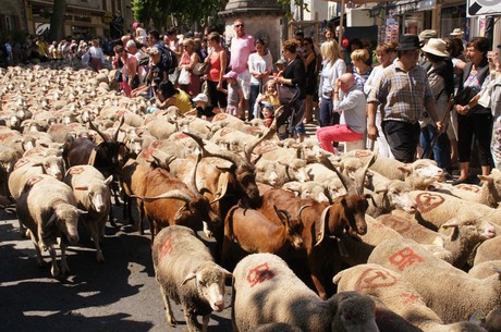 saint-remy-de-provence