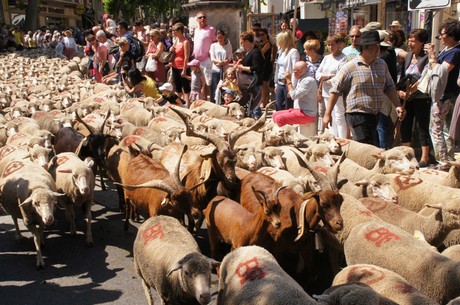 saint-remy-de-provence