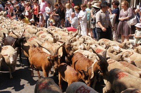 saint-remy-de-provence
