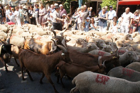 saint-remy-de-provence