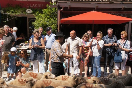 saint-remy-de-provence