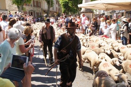 saint-remy-de-provence