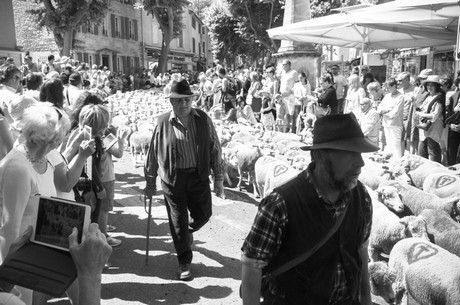 saint-remy-de-provence