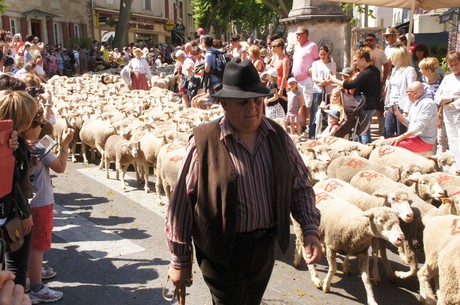 saint-remy-de-provence