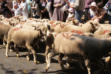 saint-remy-de-provence