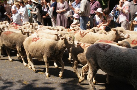 saint-remy-de-provence