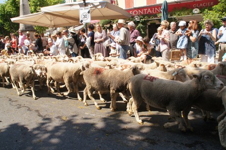 saint-remy-de-provence