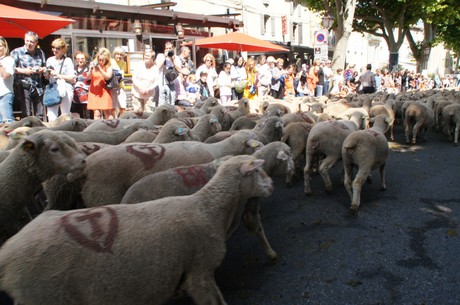 saint-remy-de-provence