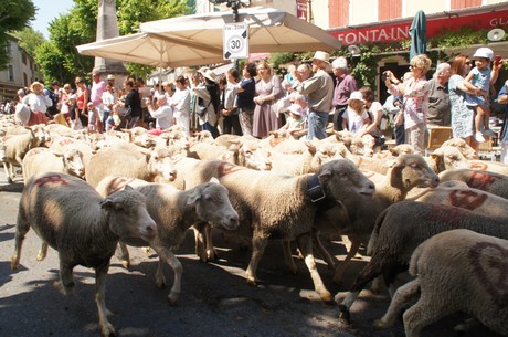 saint-remy-de-provence