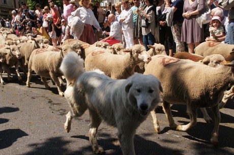 saint-remy-de-provence