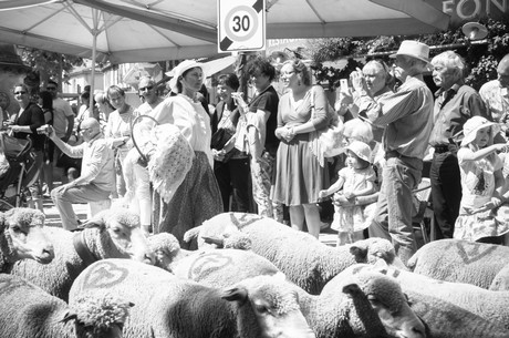 saint-remy-de-provence