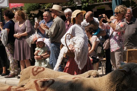 saint-remy-de-provence