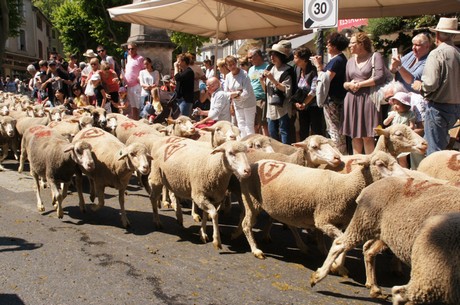 saint-remy-de-provence