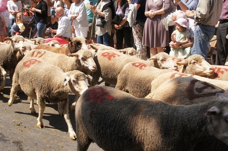 saint-remy-de-provence