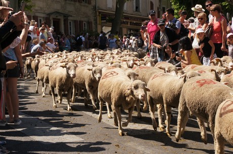 saint-remy-de-provence
