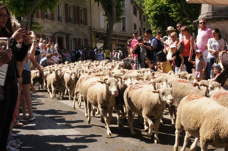 saint-remy-de-provence