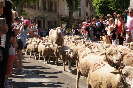 saint-remy-de-provence