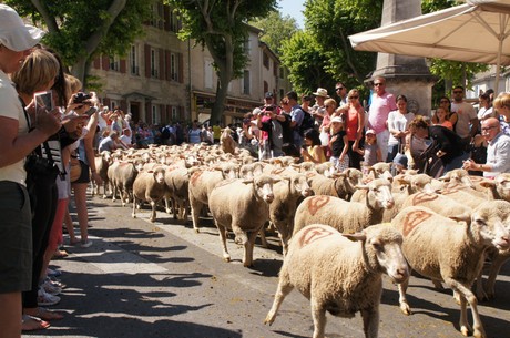 saint-remy-de-provence