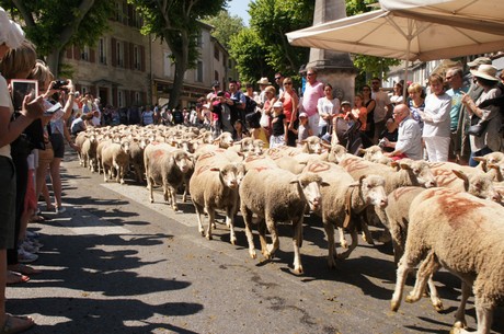 saint-remy-de-provence