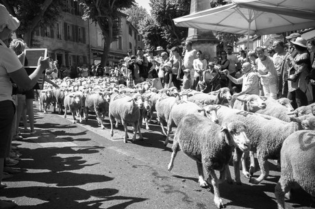 saint-remy-de-provence