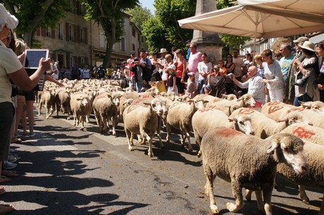 saint-remy-de-provence